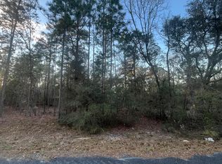 Locust Run, Ocklawaha, FL 32179