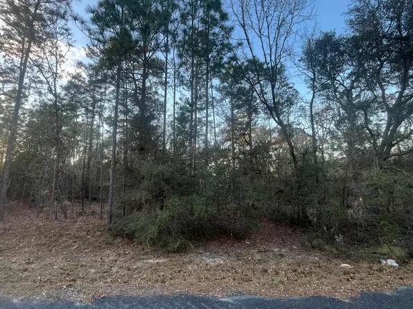 Tbd Locust Loop, Ocklawaha, FL 32179