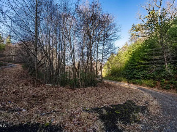 Tbd Locust Gap Rd, Mountain City, TN 37683