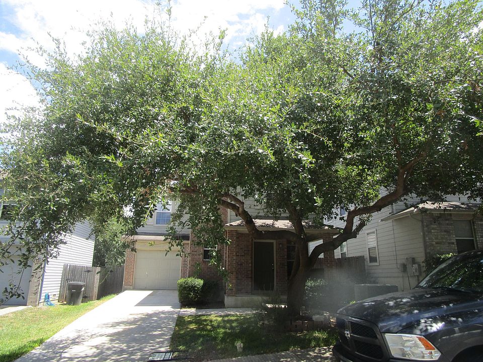 1st image of 4914 Ancient Elm