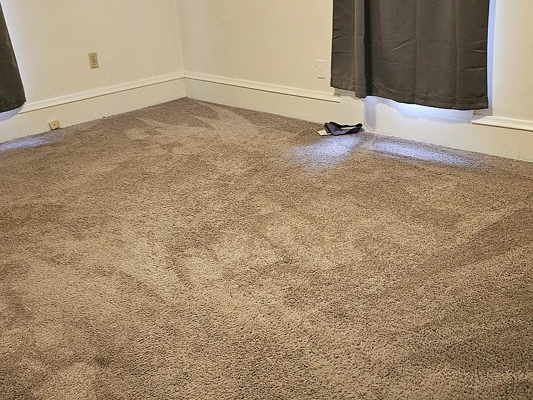 810 N Evans St #3 — Photo 5