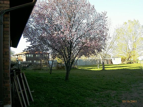 Back yard facing south