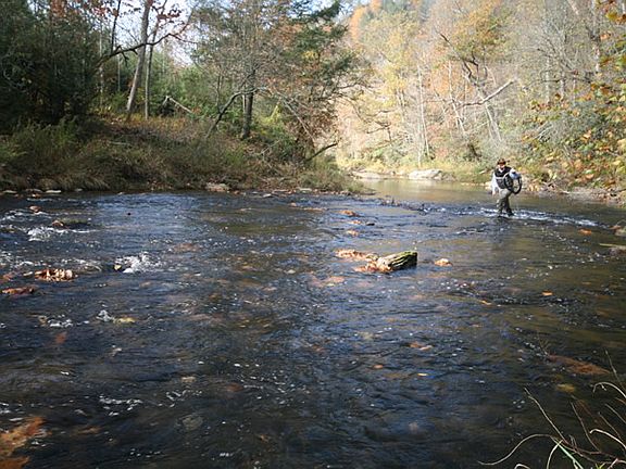 Crooked Creek trout stream
