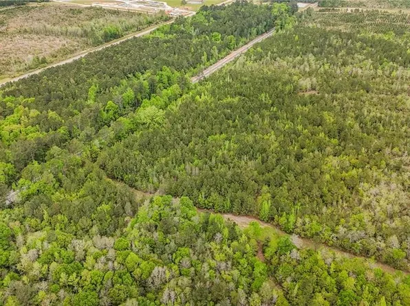 0 Highway 43, Mount Vernon, AL 36560