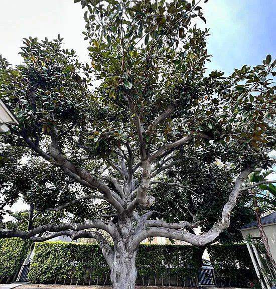 1430 Ocean Park Blvd — Photo 16