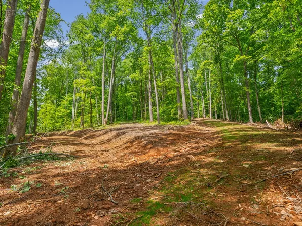 1 Budds Creek Rd Lot 1, Palmyra, TN 37142