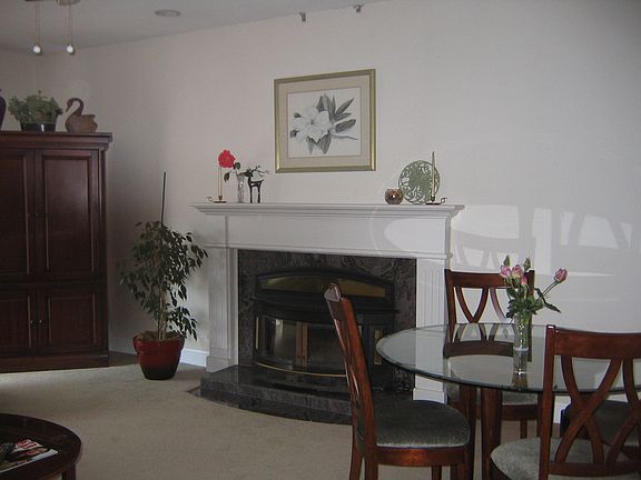 Wood burning fireplace