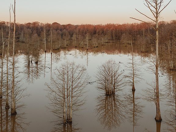 3rd image of 0 Dyersburg Hwy
