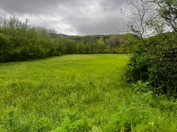 0 Fowler Grove Rd, Newport, TN 37821