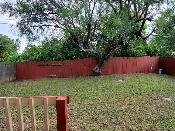 Back yard