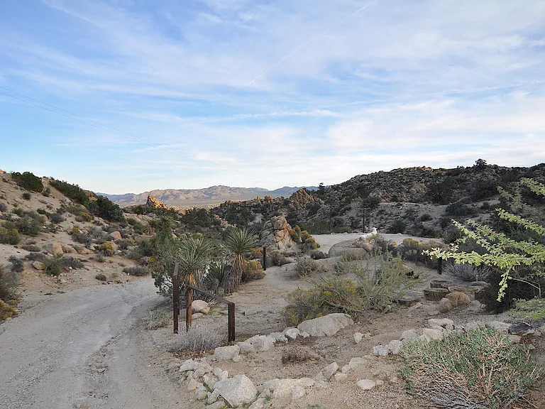 view from the top of front driveway
