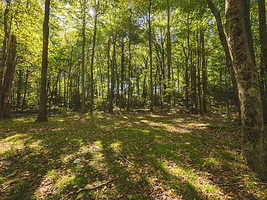 Property photo 46