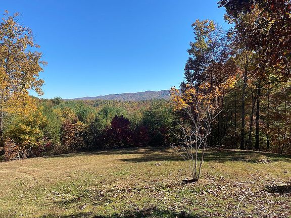 5th image of 155 Snakefoot Ln