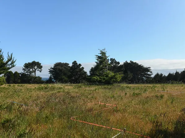 41123 Deer Trail, The Sea Ranch, CA 95497