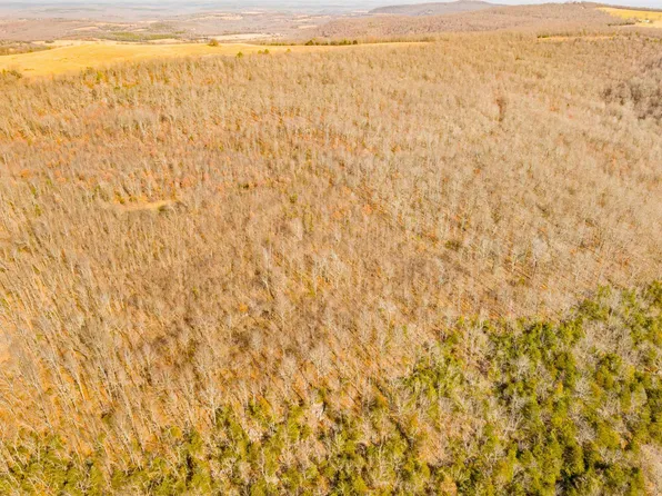 (undisclosed Address), Fifty Six, AR 72533