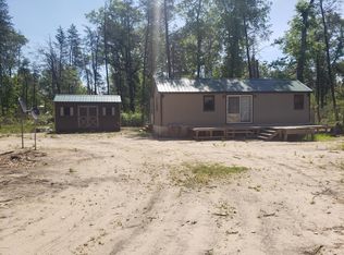 11407 N Forman Rd, Irons, MI 49644