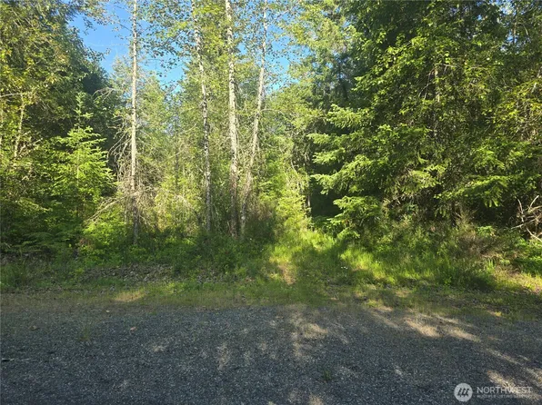 13721 Starflower Lane SE, Yelm, WA 98597