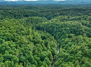 Fightingtown Creek Rd, Mc Caysville, GA 30555