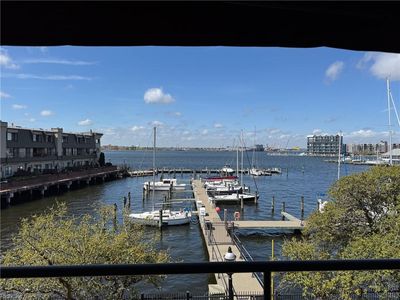 255 College Cross APT 59, Norfolk, VA, 23510