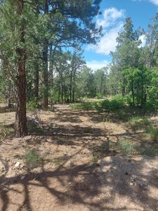 16 Secret Pines Ct, Tijeras, NM, 87059