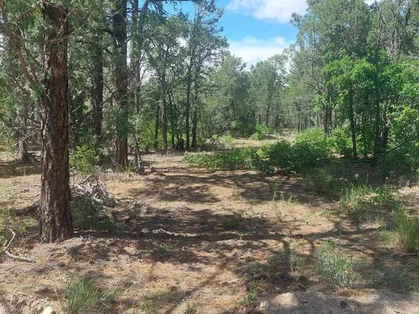 16 Secret Pines Ct, Tijeras, NM 87059