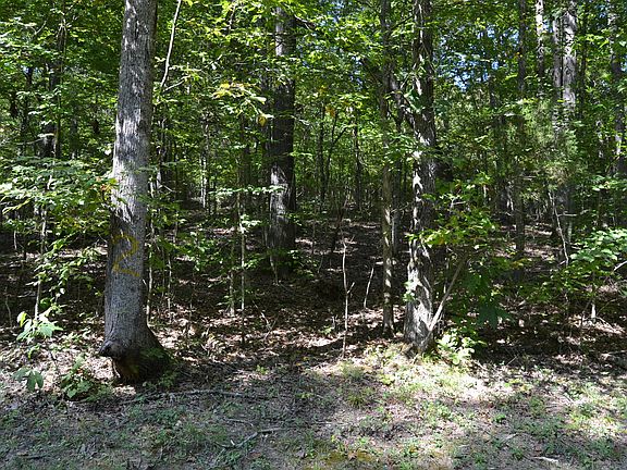 2nd image of 2 Rolling Mill Rd