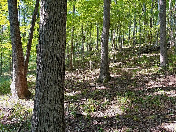 3rd image of 514 Dog Hollow Rd