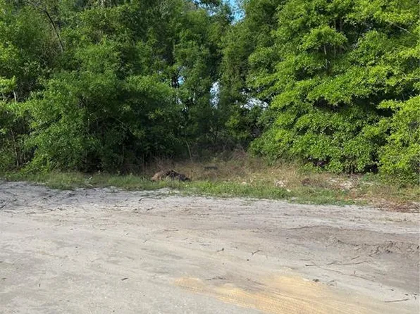 SE 36th Ct Lot 81, Summerfield, FL 34491