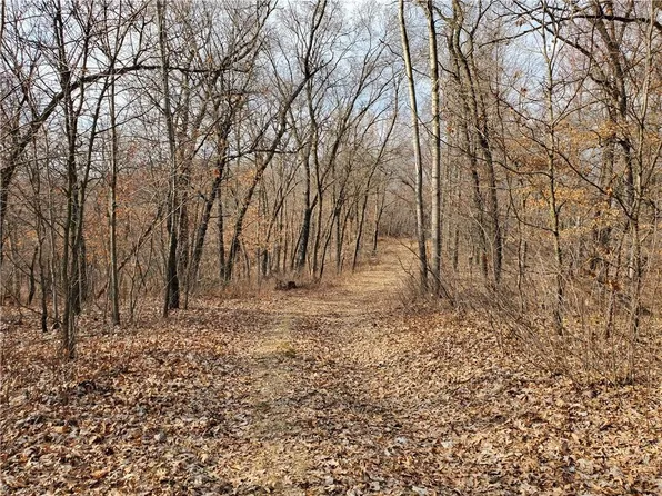 Lot 1 Schroeder Rd, Whitehall, WI 54773