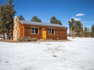 41 Pine Dr, Bailey, CO 80421