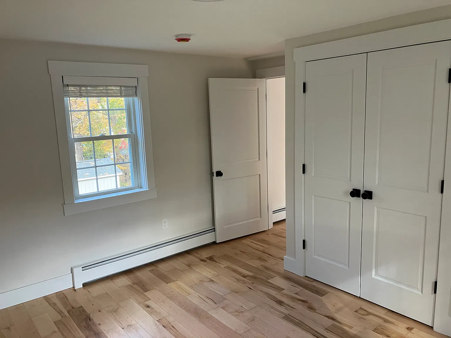 1 bed, $2,000 — Photo 3