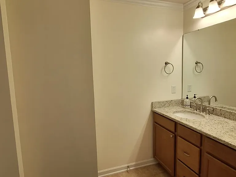 239 Cedar Crossing Ln — Photo 8