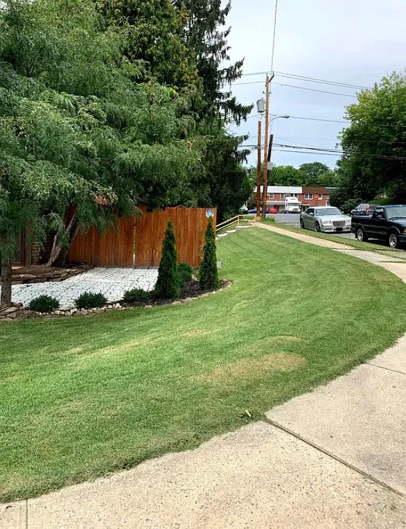 3 bed, 1248 sqft, $2,000 — Photo 2
