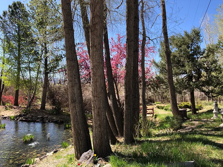 11 State Road 230 — Photo 10