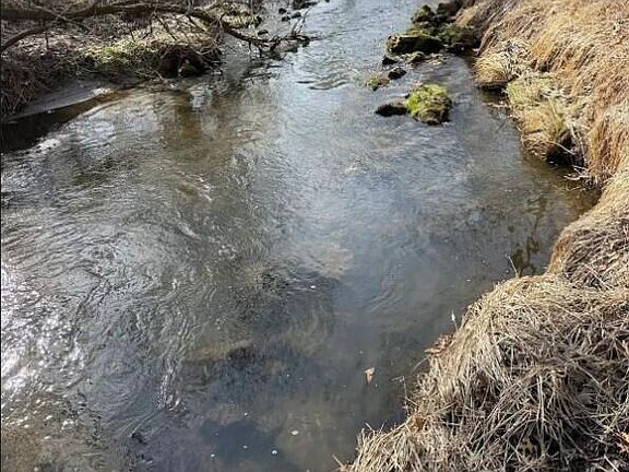 4th image of 000 HAWK ROAD