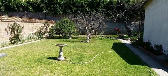 Backyard with fruit trees