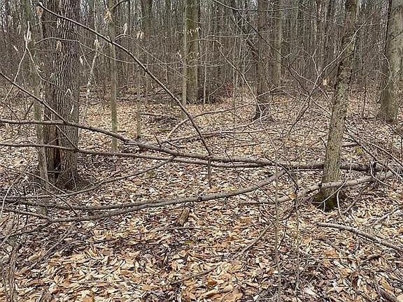 4th image of 537 Maxatawny Dr