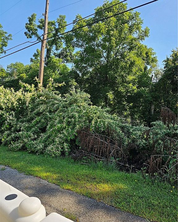 2nd image of Zimmerman St