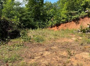 4 Red Dog Ln, Whittier, NC 28789