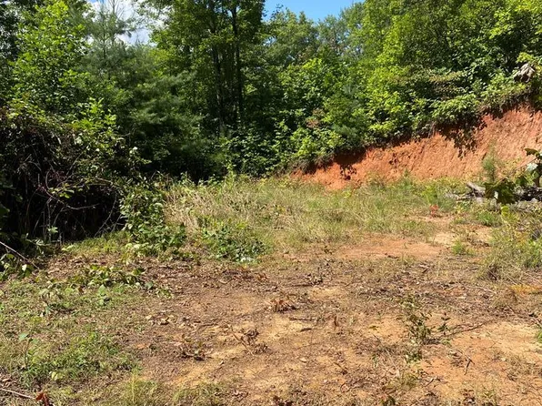 4 Red Dog Ln, Whittier, NC 28789