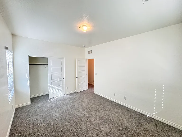 2711 Lindsey Springs St — Photo 22