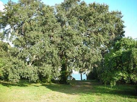 View of Lot from Road