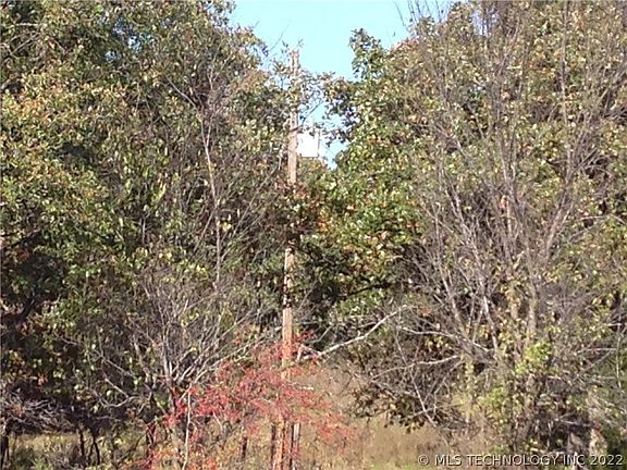 2nd image of County Road 1405