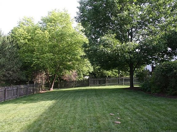 backyard looking north