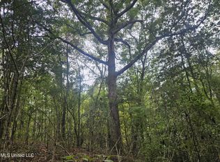 Simpson Hwy, Mount Olive, MS 39119