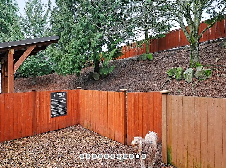 Linden Ave N — Photo 11