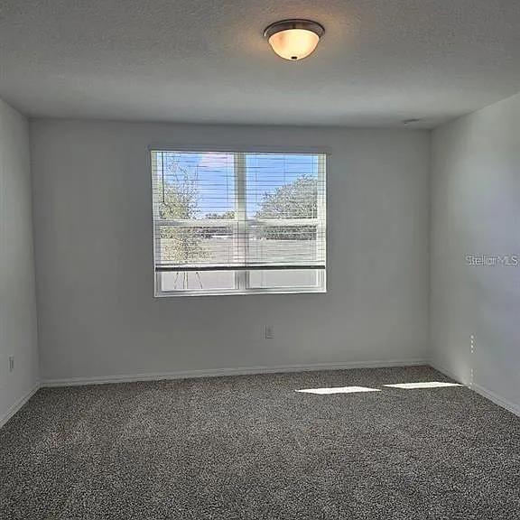 5309 Maddie Dr — Photo 9