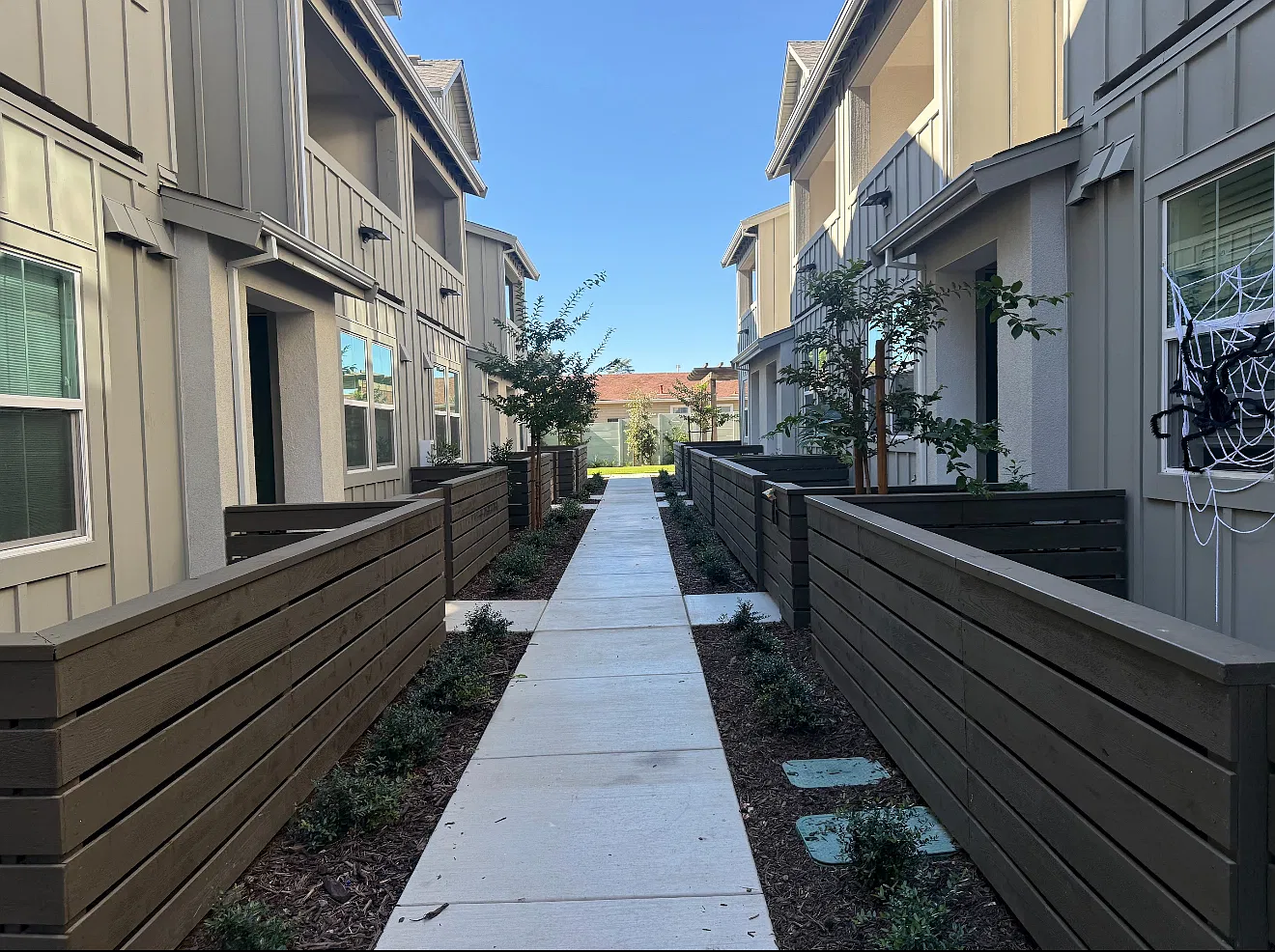 Studio, 296 sqft, $1,900 — Photo 2