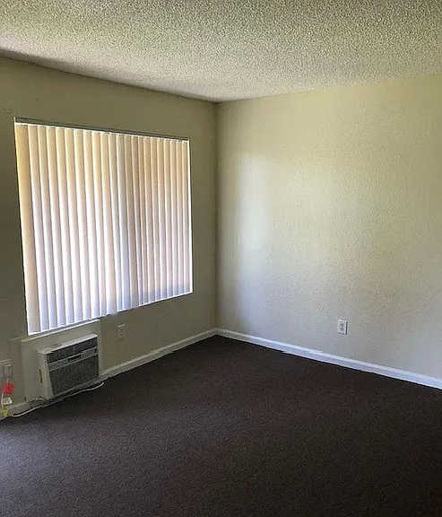 Pinetree Apartments — Photo 6
