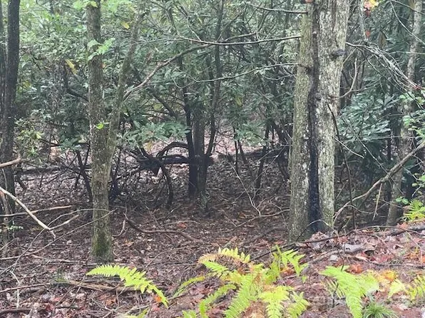 0 McDonald Ct, Pisgah Forest, NC 28768